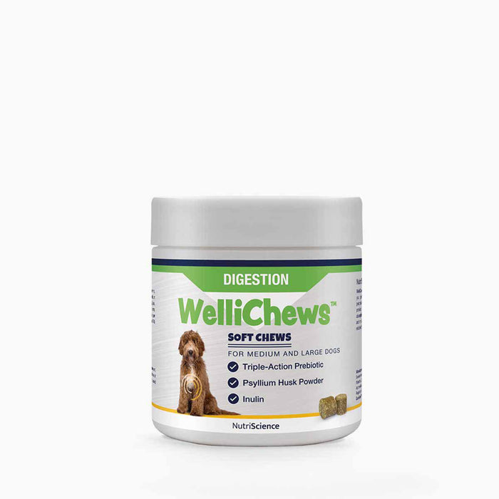 Swedencare - wellichews digestion medium/large 60 st