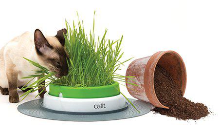 Catit - senses 2.0 grass planter