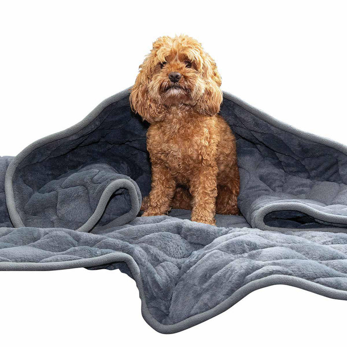 Kong - weighted calming blanket