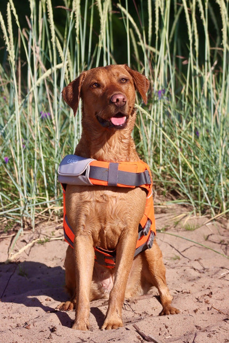 Active Canis - life jacket xs