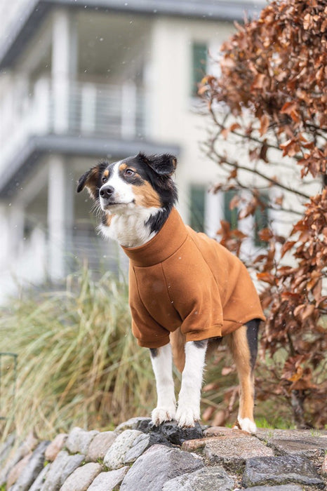 TRIXIE - citystyle amsterdam sweatshirt rostbrun m 45cm - kläder för hundar