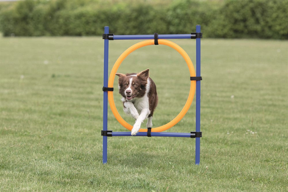 TRIXIE - agility hoppring plast 78x65x115cm