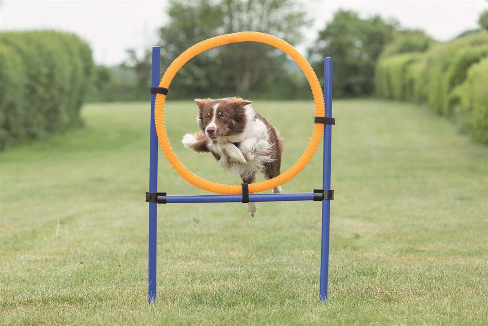 TRIXIE - agility hoppring plast 78x65x115cm