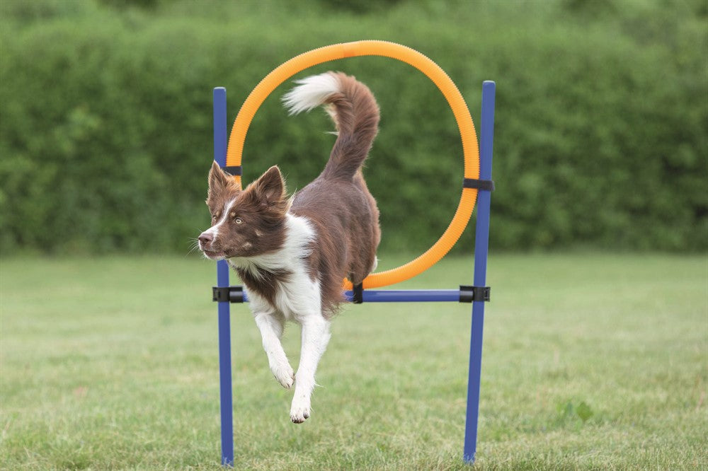 TRIXIE - agility hoppring plast 78x65x115cm