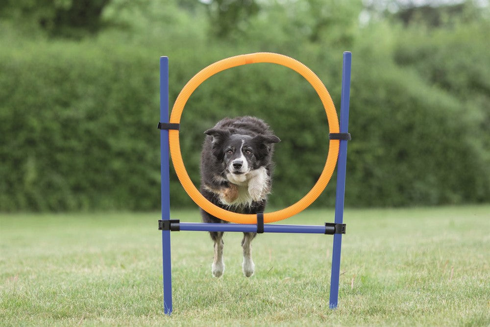 TRIXIE - agility hoppring plast 78x65x115cm