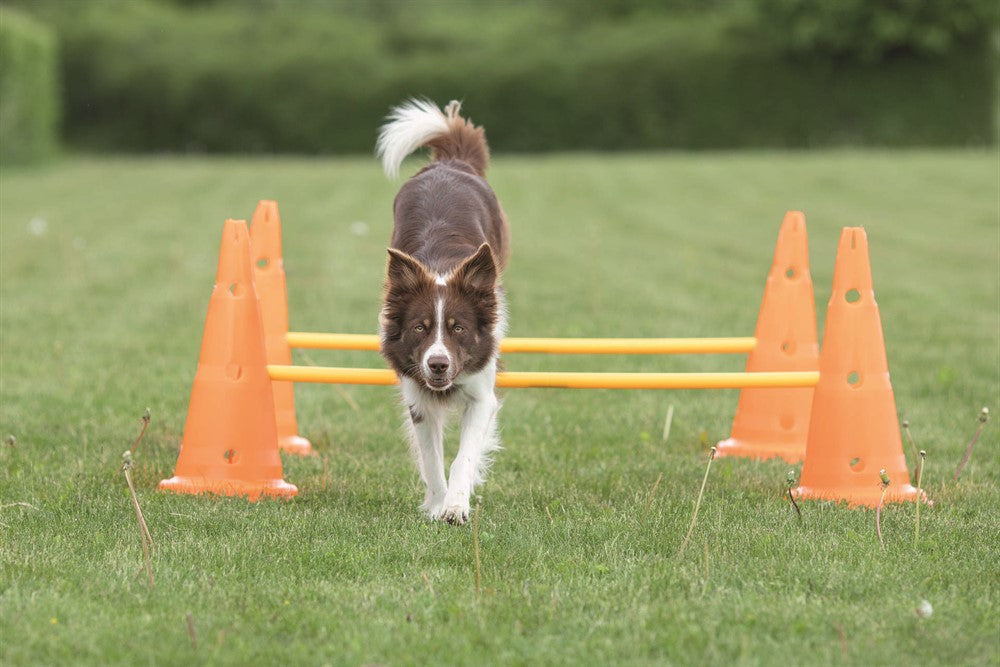 TRIXIE - dog activity hinderset hinder orange ø30×50cm 100cm