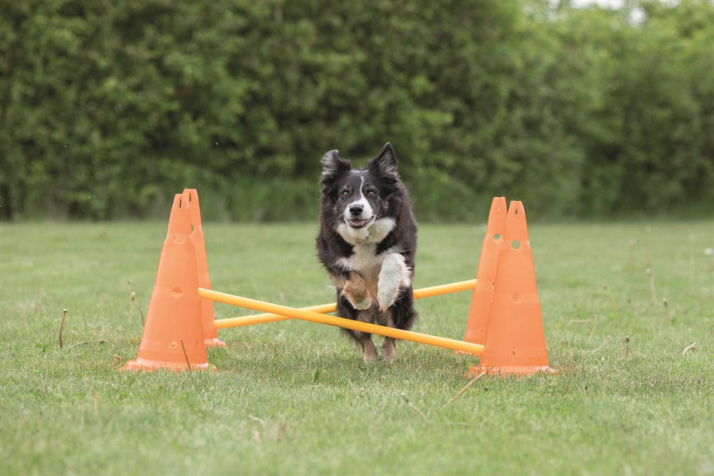 TRIXIE - dog activity hinderset hinder orange ø30×50cm 100cm