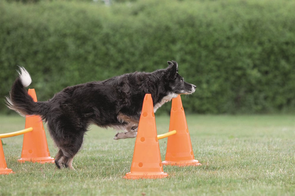 TRIXIE - dog activity hinderset hinder orange ø30×50cm 100cm