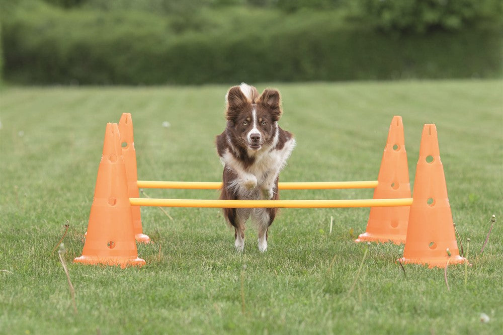 TRIXIE - dog activity hinderset hinder orange ø30×50cm 100cm