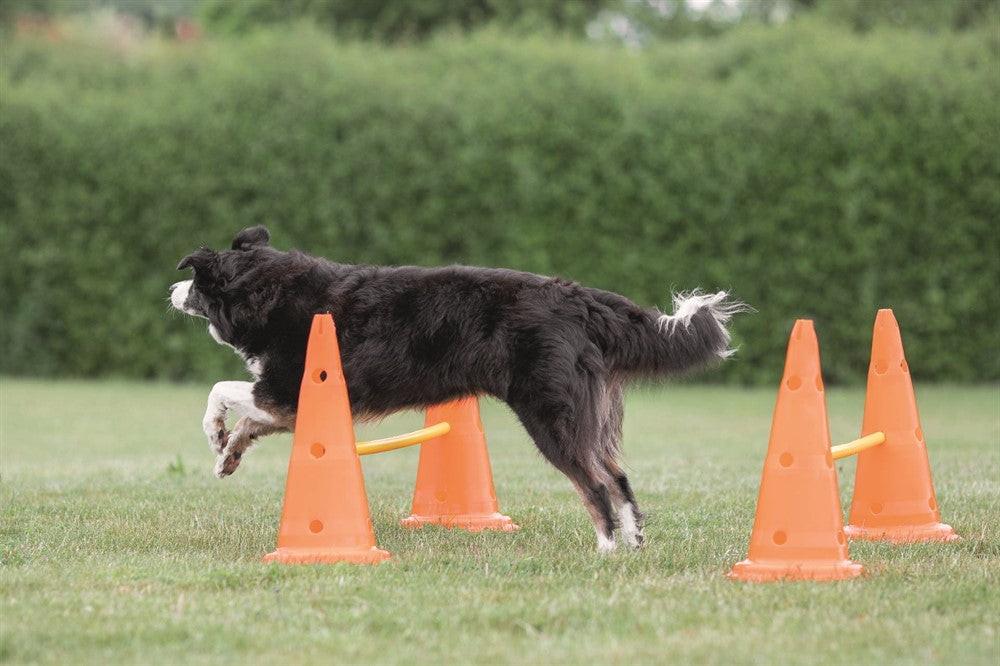 TRIXIE - dog activity hinderset hinder orange ø30×50cm 100cm