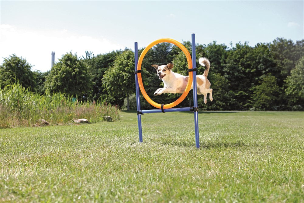 TRIXIE - agility hoppring plast 78x65x115cm