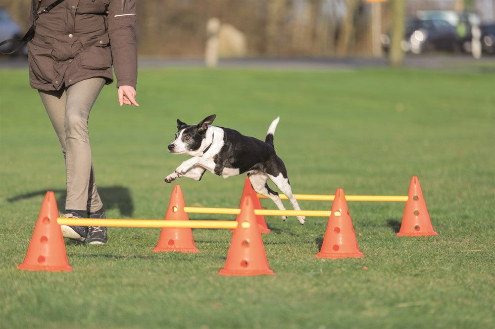 TRIXIE - dog activity hinderset hinder orange ø23×30cm 78cm