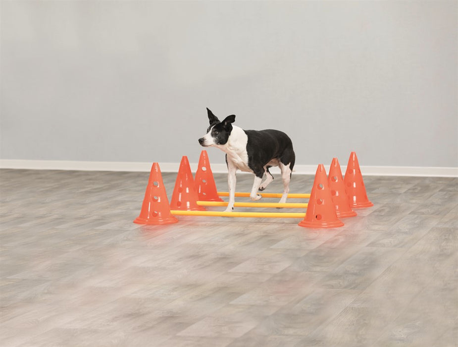 TRIXIE - dog activity hinderset hinder orange ø23×30cm 78cm