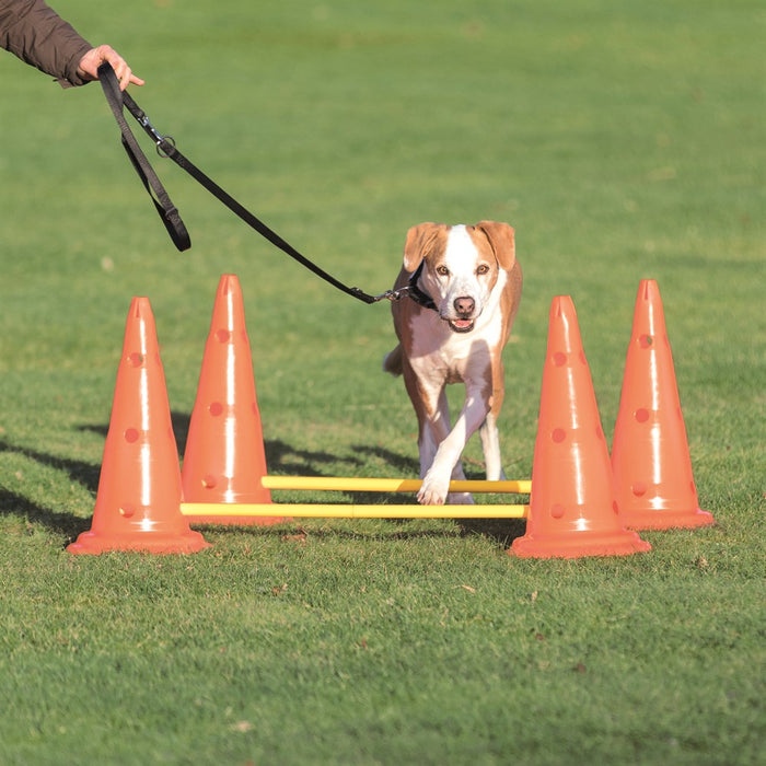 TRIXIE - dog activity hinderset hinder orange ø30×50cm 100cm