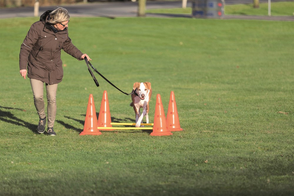 TRIXIE - dog activity hinderset hinder orange ø30×50cm 100cm