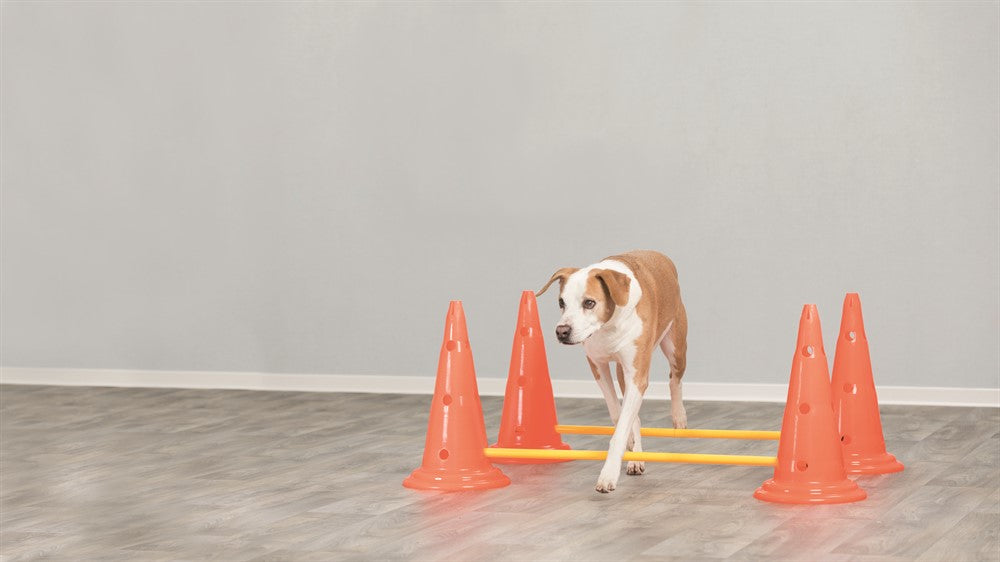 TRIXIE - dog activity hinderset hinder orange ø30×50cm 100cm