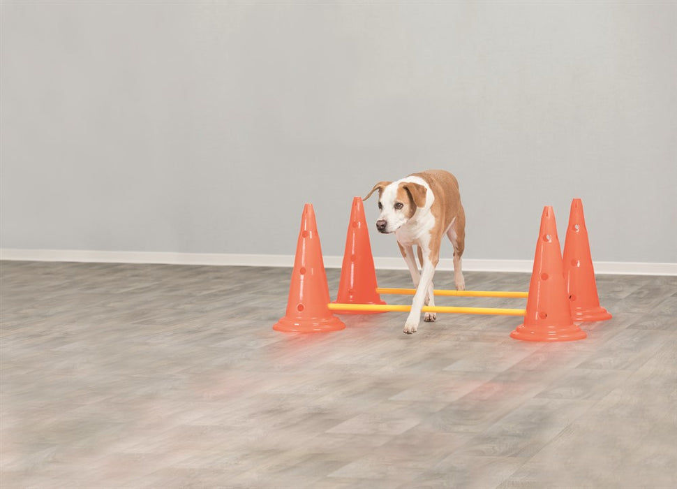 TRIXIE - dog activity hinderset hinder orange ø30×50cm 100cm