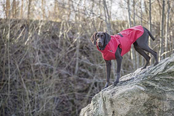 TRIXIE - vimy regntäcke xl röd 70cm - regntäcken