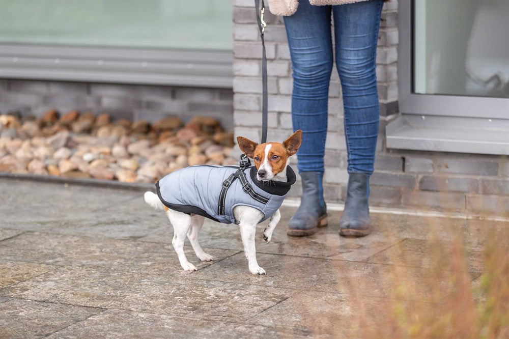 TRIXIE - pontis täcke med sele grå xs 30cm - täcken för husdjur