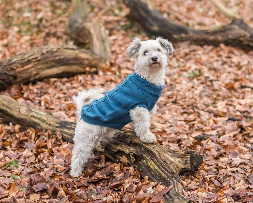 TRIXIE - kenton pullover l 60cm blå - kläder för hundar