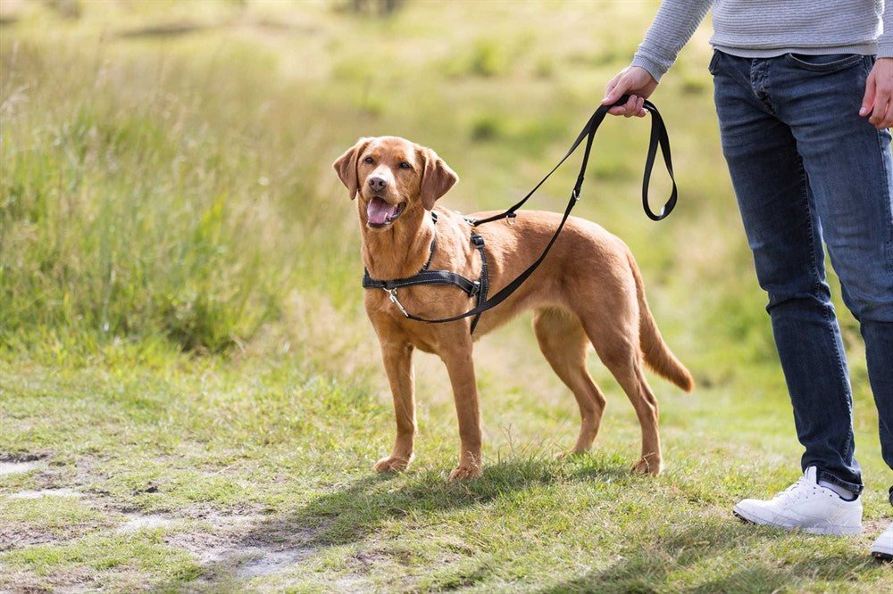 TRIXIE - lead'n'walk soft träningssele svart s-m 45-70cm 25mm