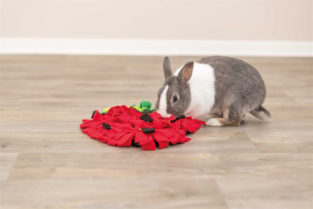 TRIXIE - sniffing carpet mat röd 33x40cm