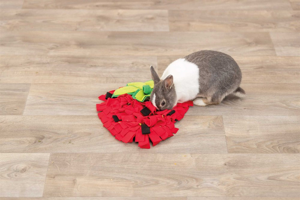 TRIXIE - sniffing carpet mat röd 33x40cm