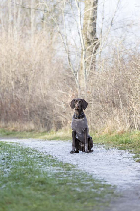 TRIXIE - kenton pullover m 50cm taupe - kläder för hundar