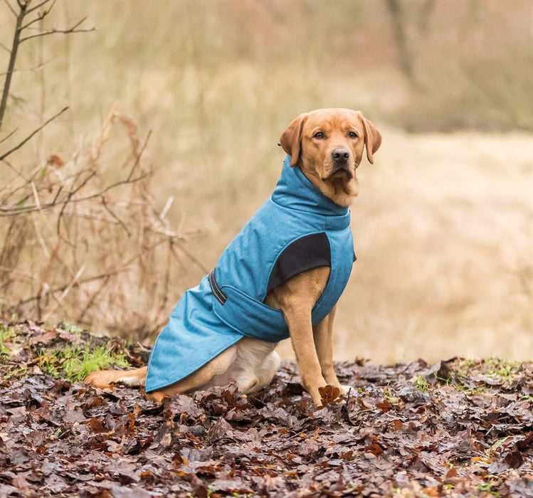 TRIXIE - riom vintertäcke l 62cm blå - hundkläder