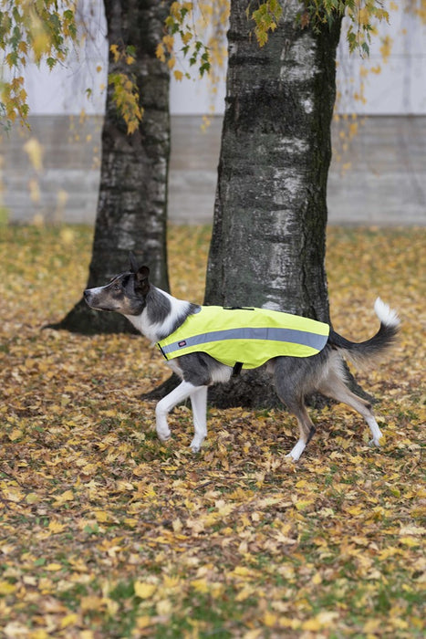 TRIXIE - säkerhetsväst reflex gul xs 30cm - husdjursutrustning