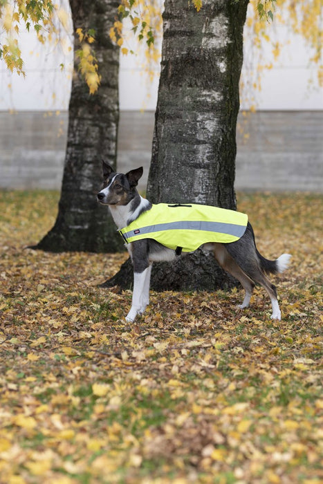 TRIXIE - säkerhetsväst reflex gul xs 30cm - husdjursutrustning