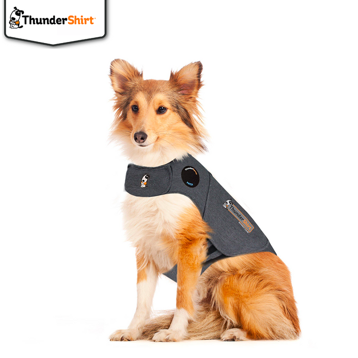 Thundershirt - hund l