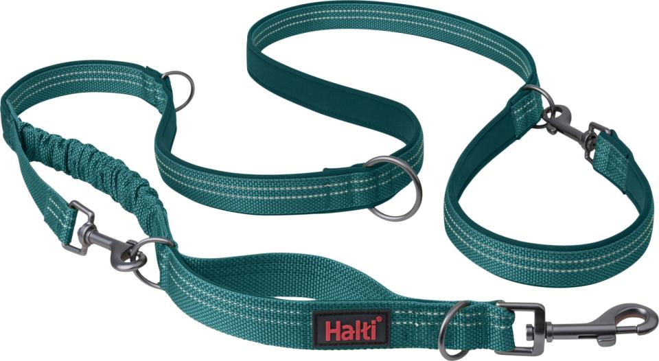 Halti - anatomy multi line teal