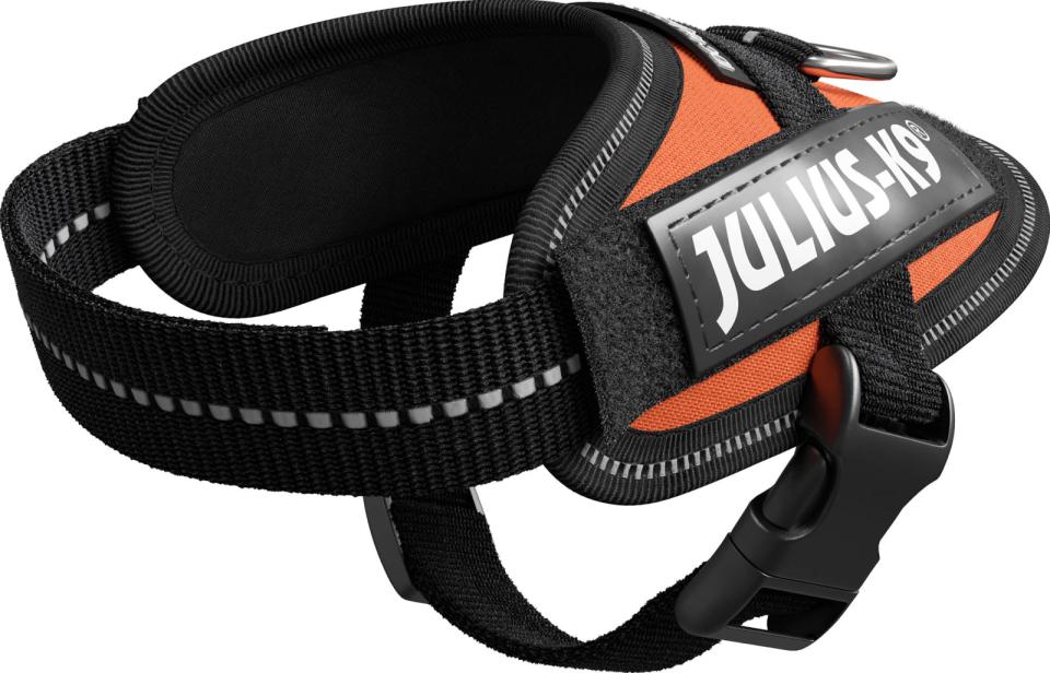 Julius-K9 - idc sele uv orange