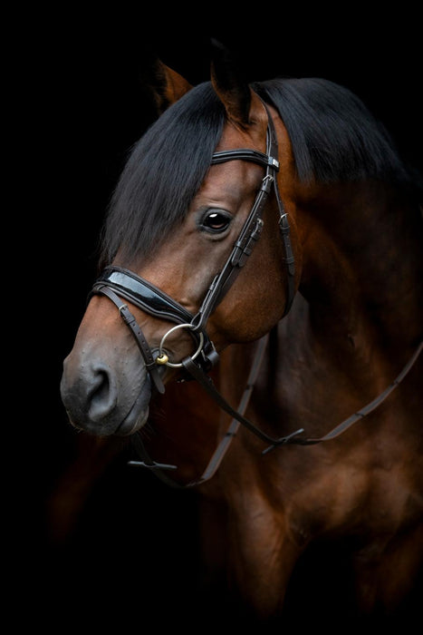 HorseGuard - cryll 24.1 träns kombinerad nosgrimma med tillbakadrag brun.