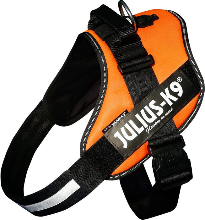 Julius-K9 - idc sele uv orange