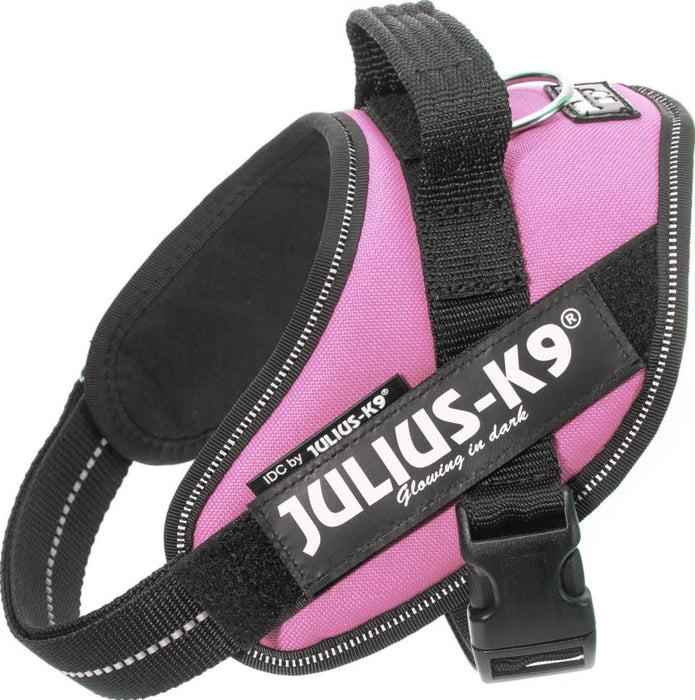 Julius-K9 - idc sele, 29-36 cm pink