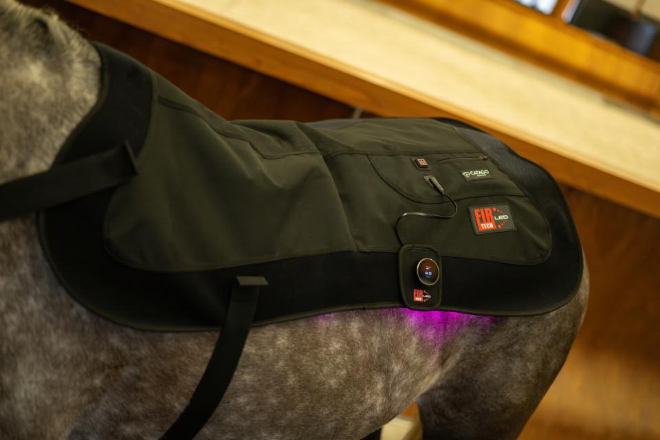 Catago - fir-tech led therapy pad