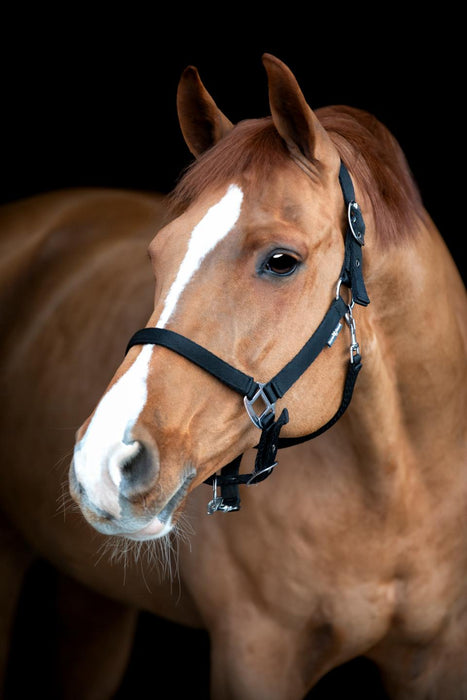 HorseGuard - saby grooming grimma svart