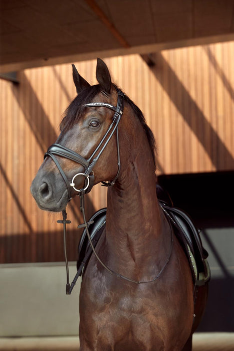 HorseGuard - ava rundsyet trense uden tøjle svart