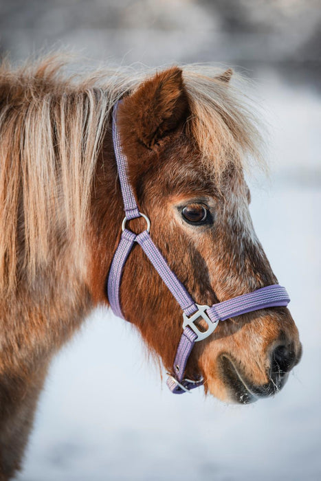 HorseGuard - mascha grimma montana grape