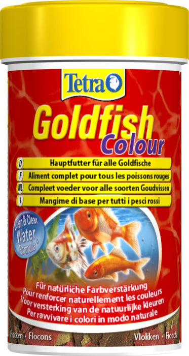 Tetra - goldfish colour