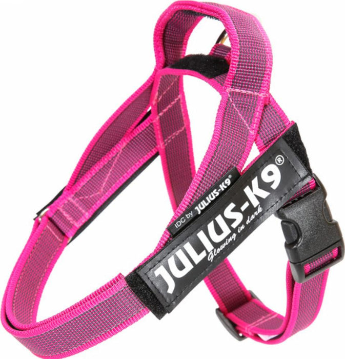 Julius-K9 - idc-bältsele pink