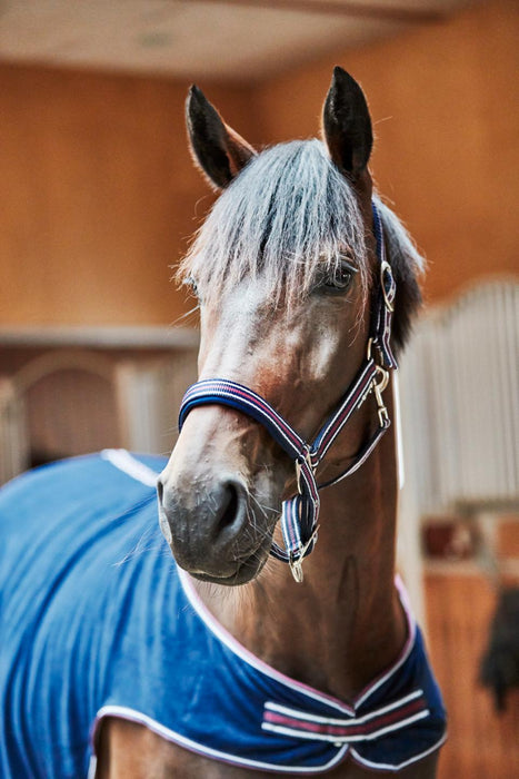 HorseGuard - kaloa halter navy