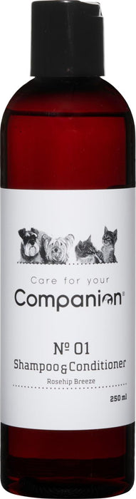 Companion - 2 in 1 shampoo 250ml