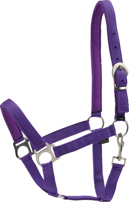 HorseGuard - nylongrimma purple