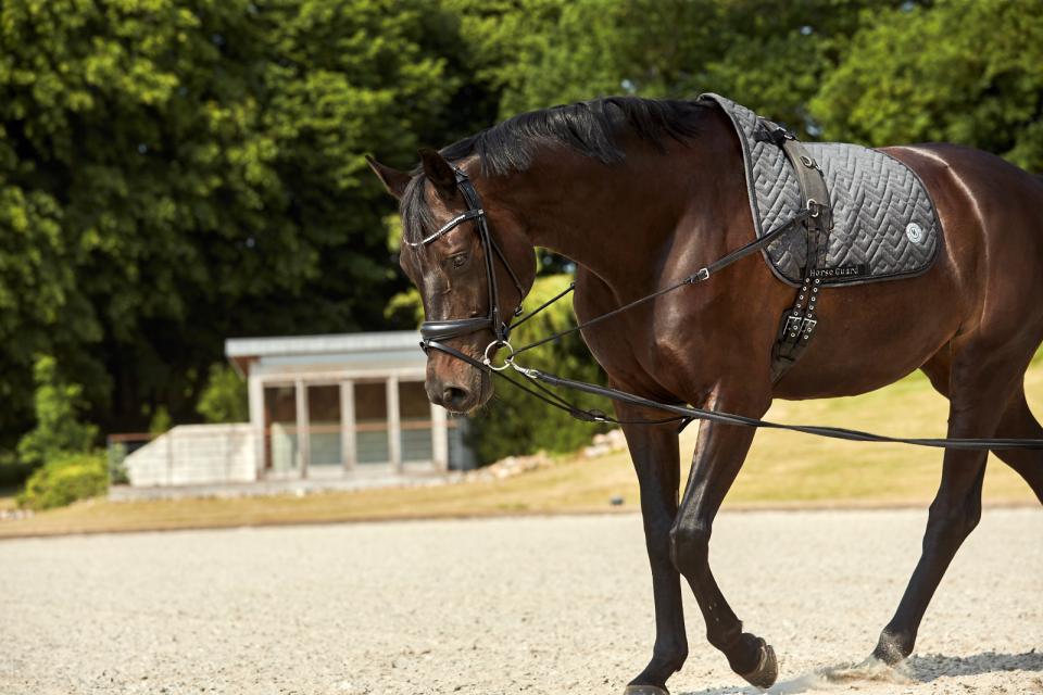 HorseGuard - ava rundsyet trense uden tøjle svart