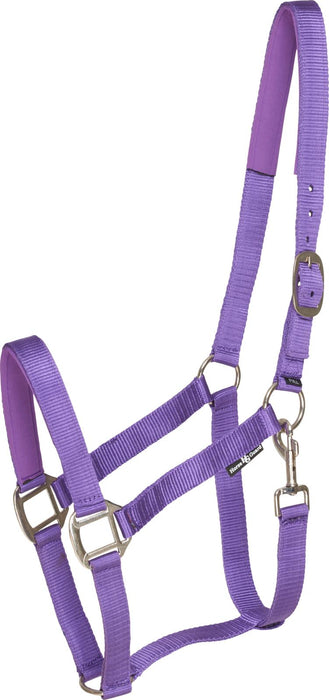 HorseGuard - nylon grimma purple