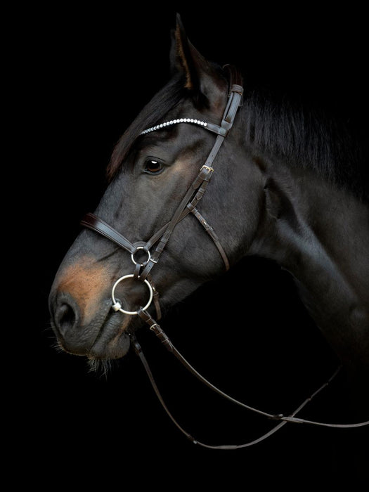 Catago - gentle chinstrap brun