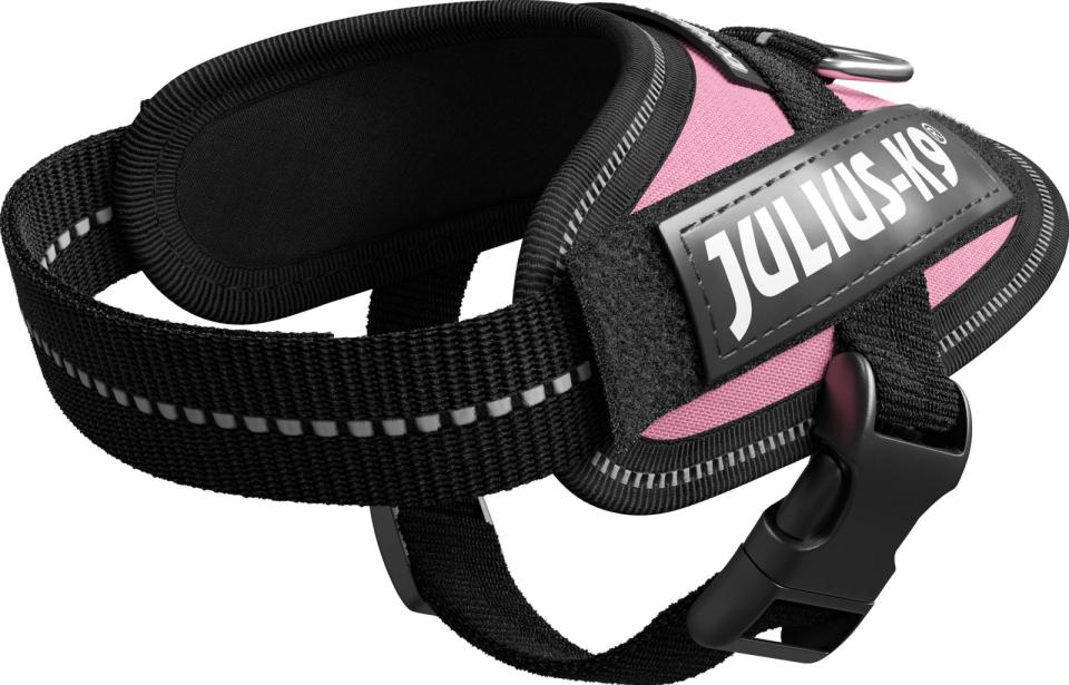 Julius-K9 - idc sele, 29-36 cm pink